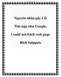 Nguyên nhân gây Lỗi Tìm nạp như Google, Could not fetch web page Rich Snippets