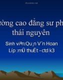 Bài giảng Mỹ thuật - Bài 14: Thường thức mĩ thuật - Một số tác giả, tác phẩm tiêu biểu của mĩ thuật Việt Nam giai đoạn 1954 - 1975