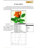 Giáo trình phân tích quy trình sử dụng kỹ thuật merge curves trong drafting p1