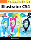 Adobe illustrator cs4- P1