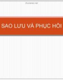 Bài giảng Sao lưu và phục hồi