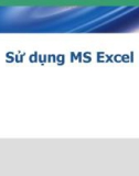 Bài giảng Sử dụng MS Excel