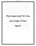 Pure Spam là gì? 10 ví dụ của Google về Pure Spam?