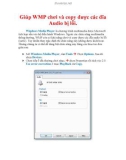 Thủ thuật Windows XP: Giúp WMP chơi và copy được các đĩa Audio bị lỗi.