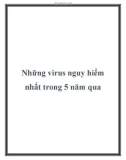 Những virus nguy hiểm nhất trong 5 năm qua