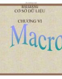 Bài giảng Cơ sở dữ liệu: Chương VI - Macro