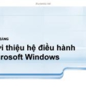 Bài giảng Giới thiệu hệ điều hành Microsoft Windows - Th.S Mai Anh Thơ