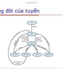 Lập trình Java cơ bản : Multithreading part 5