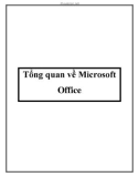 Tổng quan về Microsoft Office