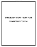 YẾU TỐ MỸ THUẬT TẤM GIA THU TRONG NHỮNG NGÔI NHÀ RƯỜNG XỨ QUẢNG