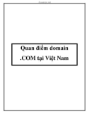 Quan điểm domain .COM tại Việt Nam