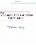 Bài giảng Tài chính tiền tệ: Chương 5 - Diệp Gia Luật