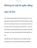 Những bí mật ẩn giấu đằng sau cổ tức