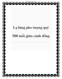 Lạ lùng pho tượng quý 500 tuổi giữa cánh đồng