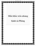 Điêu khắc trên nhưng bánh xà Phòng