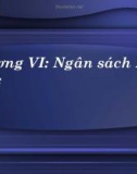 Bài giảng - Chương VI: Ngân sách Nhà nước