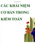 Giáo trình kiểm toán - Chương 2