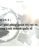 Phần 3: Các giải pháp quản trị rủi ro trong kinh doanh quốc tế