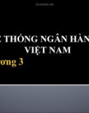 CHƯƠNG 3: HỆ THỐNG NGÂN HÀNG Ở VIỆT NAM