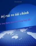 Bài giảng quản trị rủi ro tài chính - Bài 10