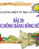 Bài giảng Địa lý 9 bài 20: Vùng Đồng bằng sông Hồng