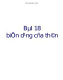 Bài giảng điện tử môn sinh học: quan sát sự vận chuyển các chất trong thân cây