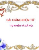 Bài giảng điện tử môn Tự nhiên và xã hội lớp 3 - Bài: Cơ quan thần kinh