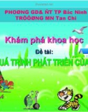 Bài giảng mầm non - Đề tài: Quá trình phát triển của cây