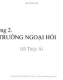 Bài giảng Tài chính quốc tế: Chương 2 - Hồ Thúy Ái