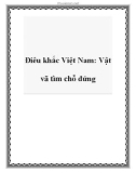 Điêu khắc Việt Nam: Vật vã tìm chỗ đứng