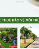 Bài giảng Thuế: Bài 3 - Nguyễn Thị Tuyết Trinh