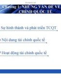 Chương 1: Những vấn đề về tài chính quốc tế