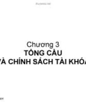 Bài giảng Chương 3: Tổng cầu và chính sách tài khóa - Trần Thị Minh Ngọc