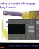 Bài giảng Xử lý hậu kỳ với Adobe Premiere: Bài 8