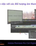 Bài giảng Xử lý hậu kỳ với Adobe Premiere: Bài 5