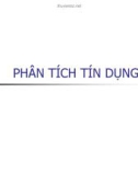 Bài giảng Phân tích tín dụng - TS. Đoàn Thanh Hà