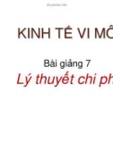 Bài giảng 7: Lý thuyết chi phí