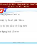 RỦI RO TRONG KINH DOANH VÀ ĐẦU TƯ TÀI CHÍNH