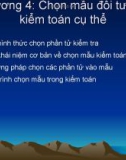 Chọn mẫu đối tượng kiểm toán cụ thể