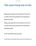 Tìm hiểu tầm quan trọng của cổ tức