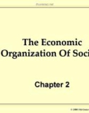 The Economic Organization Of Society