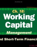 Financial Management - Chapter 18