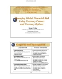 Managing Global Financial Risk Using Currency Futures And Currency Options(pdf)