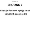 Pháp luật về doanh nghiệp tư nhân và hộ kinh doanh cá thể