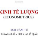 Bài giảng Kinh tế lượng: Chương 1 - Mai Cẩm Tú