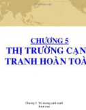 Bài giảng Kinh tế vi mô: Chương 5 - ThS. Võ Thị Thúy Hoa