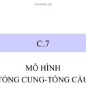 Bài giảng về Mô hình tổng cung tổng cầu