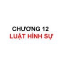 Chương 12: Luật hình sự