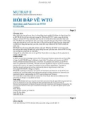 Hỏi đáp về WTO