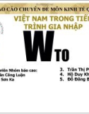 Việt Nam trong tiến trình hội nhập WTO